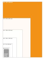 50 Stk. | Sichthülle A3 | farblos | PE glatt 0,160 mm | REIF Hamburg