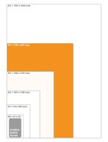100 Stk. | Sichthülle A4 | farblos | PP Atlasprägung 0,180 mm | Griffausstanzung | senne products